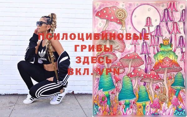 кокс Инта